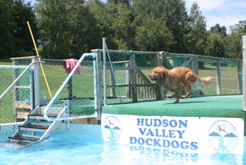 Dock Diving-web.webp