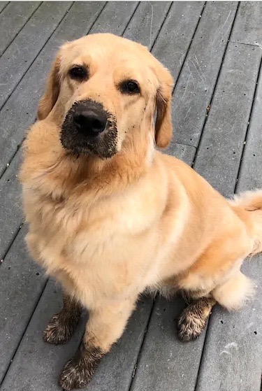 Fun! Mud!