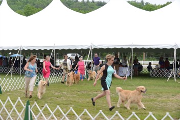 SPecialty Show (2).webp